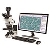 Image analysis software