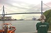 Testia develops new SHM training programme 0825-Testia-SHM-applications-thumbnail.jpg