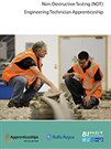 NDT Engineering Technician Apprenticeship gains approval 210815_Standards_Cover